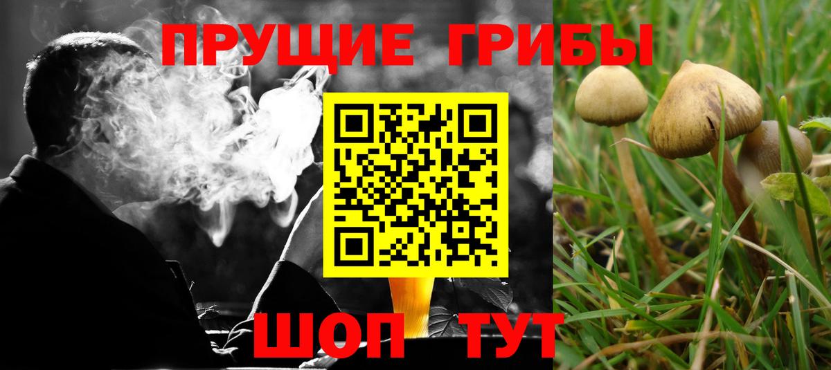 Галлюциногенные грибы GOLDEN TEACHER Майский