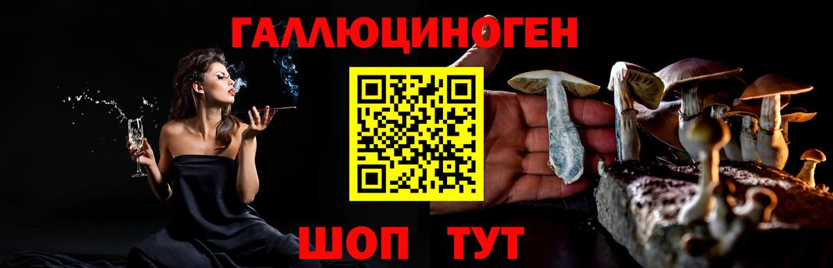 Галлюциногенные грибы прущие грибы  Вход с VPN  Майский  Галлюциногенные грибы Psilocybe 